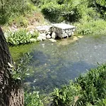 Water Spring *